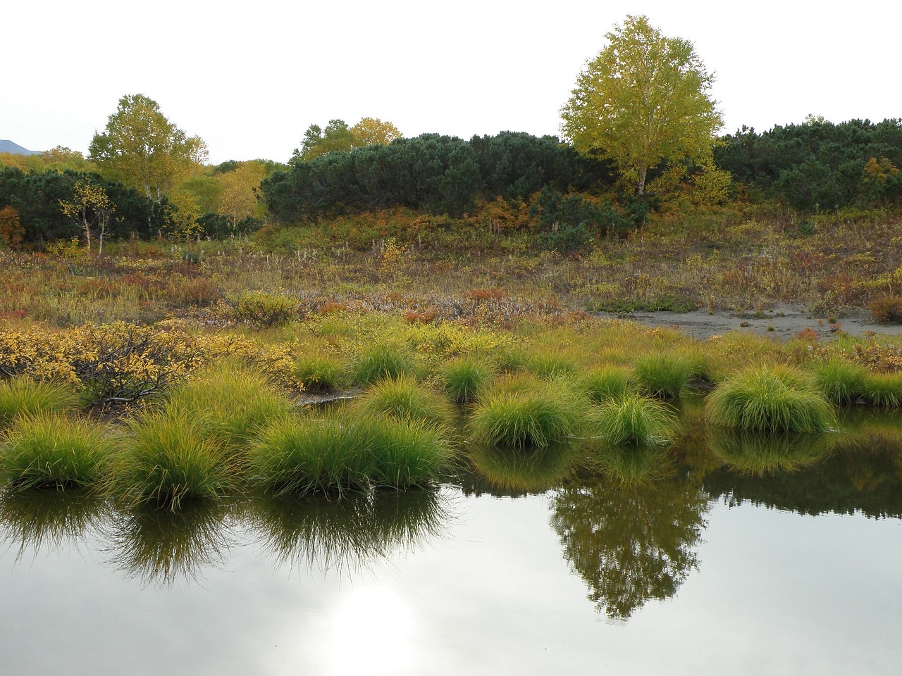 顺义公园都会最新动态探析