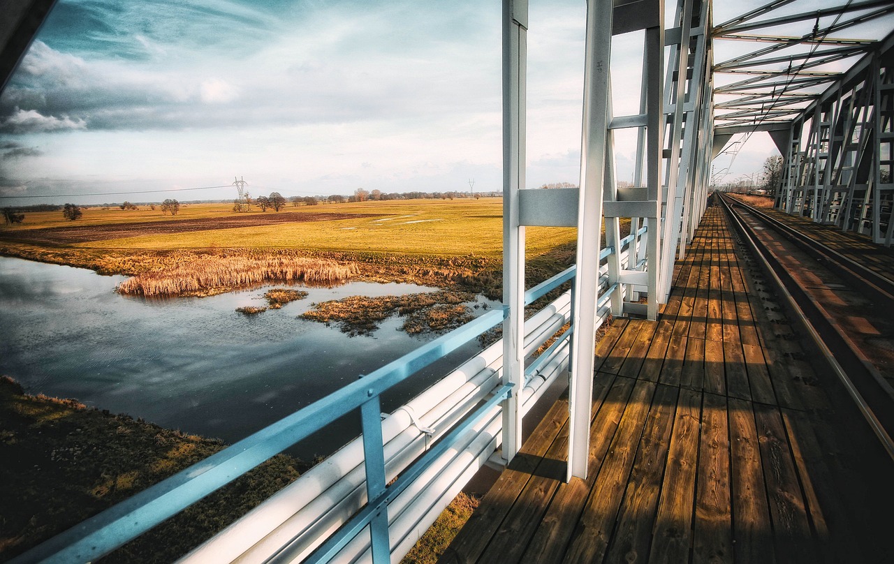 今日金价行情更新与分析,最新动态与趋势观察