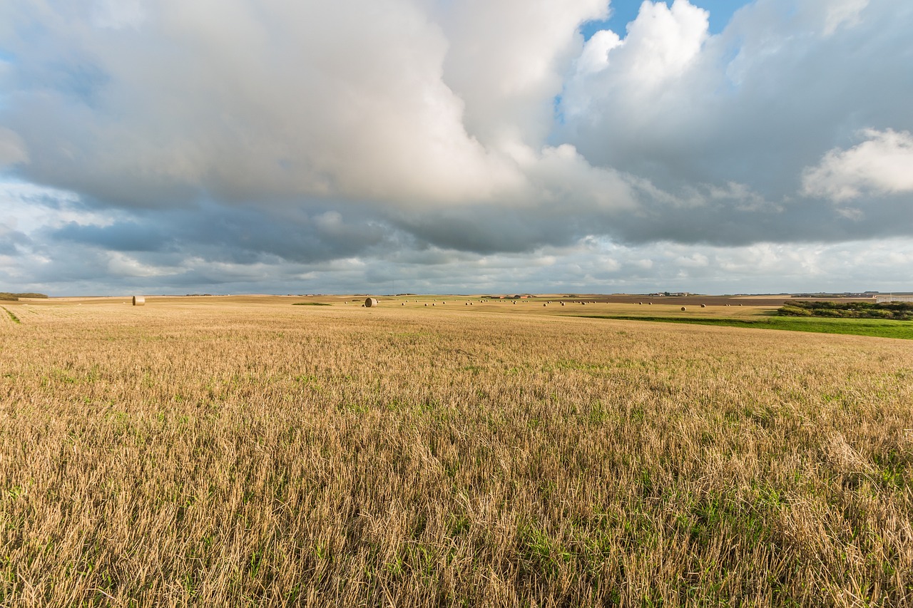 2024天天彩资料大全免费600,农业科技_视听盛宴版2380.4756
