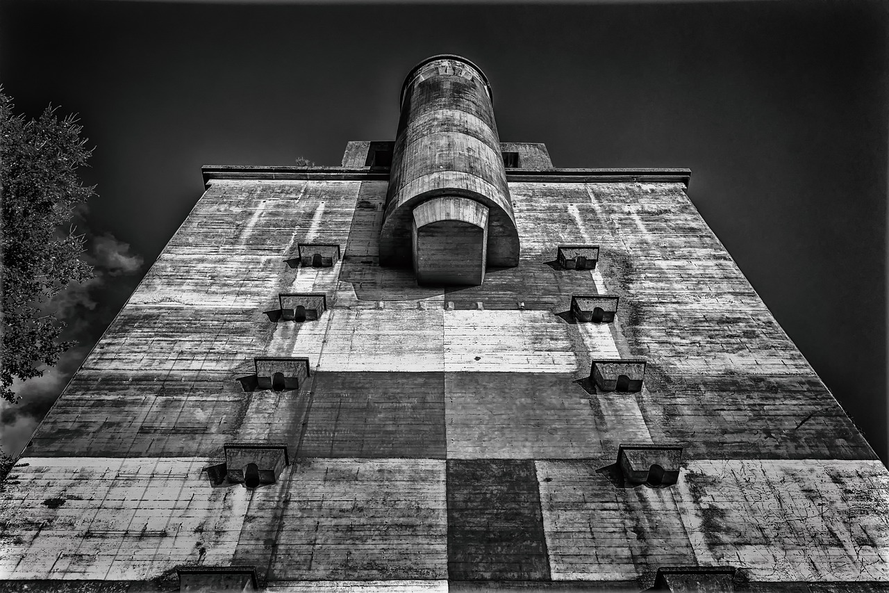 探寻战争史变迁与现代冲突之源,最新战争史概览