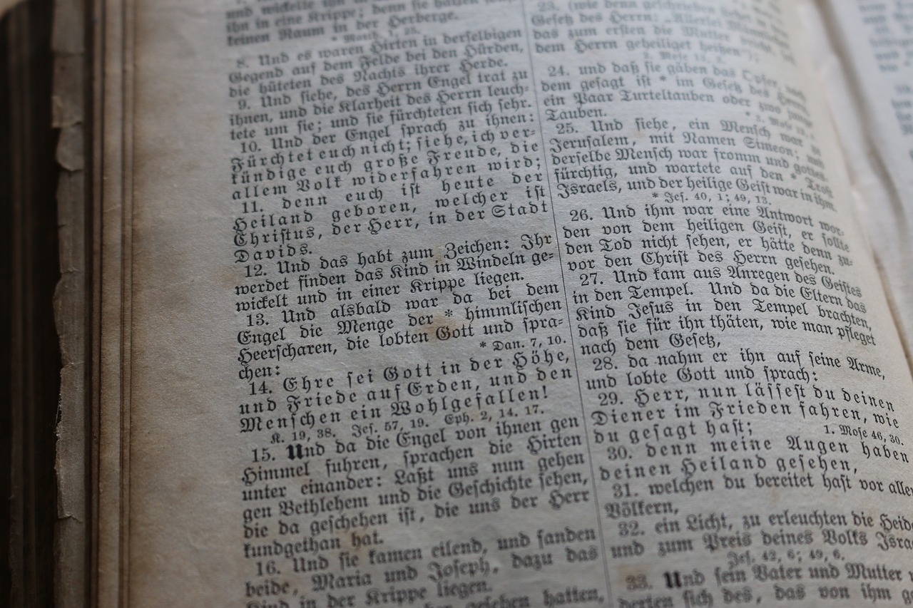 新澳天天彩免费资料2024老,专业解读操行解决_IC927.251