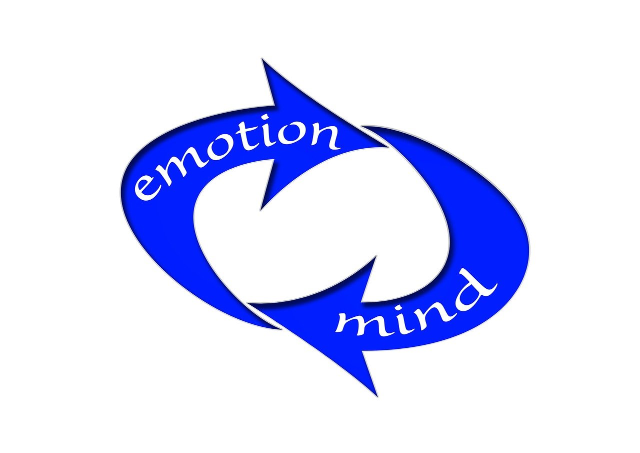 新澳2024今晚开奖结果,数据融合决策_创新款式KY417.361