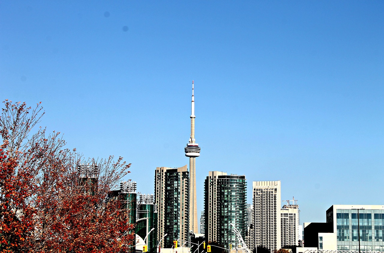 珠海最新人口数据分析,城市繁荣与人口增长的交织发展之路