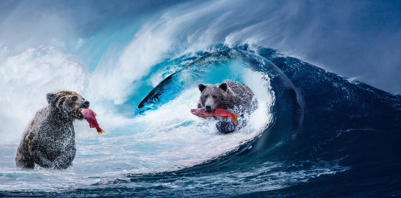 爱情岛最新网,探索数字时代的爱情世界