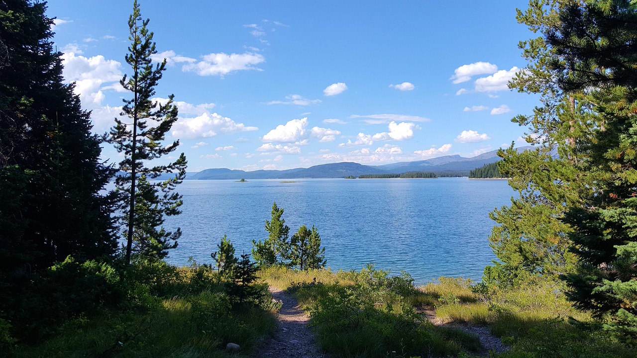 最新最乐秀,探索娱乐新潮流的前沿动态