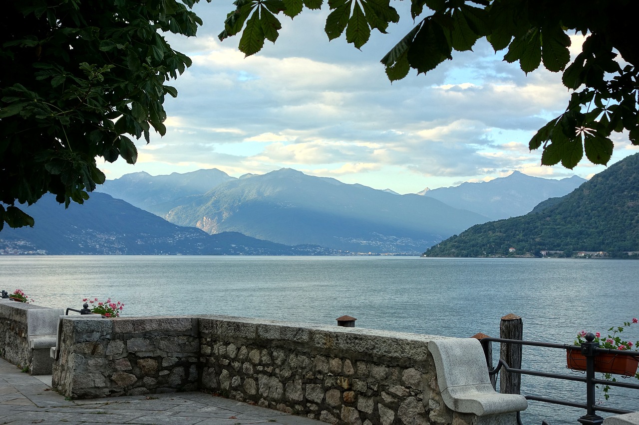 新坡湖最新动态,生态恢复与未来发展的展望