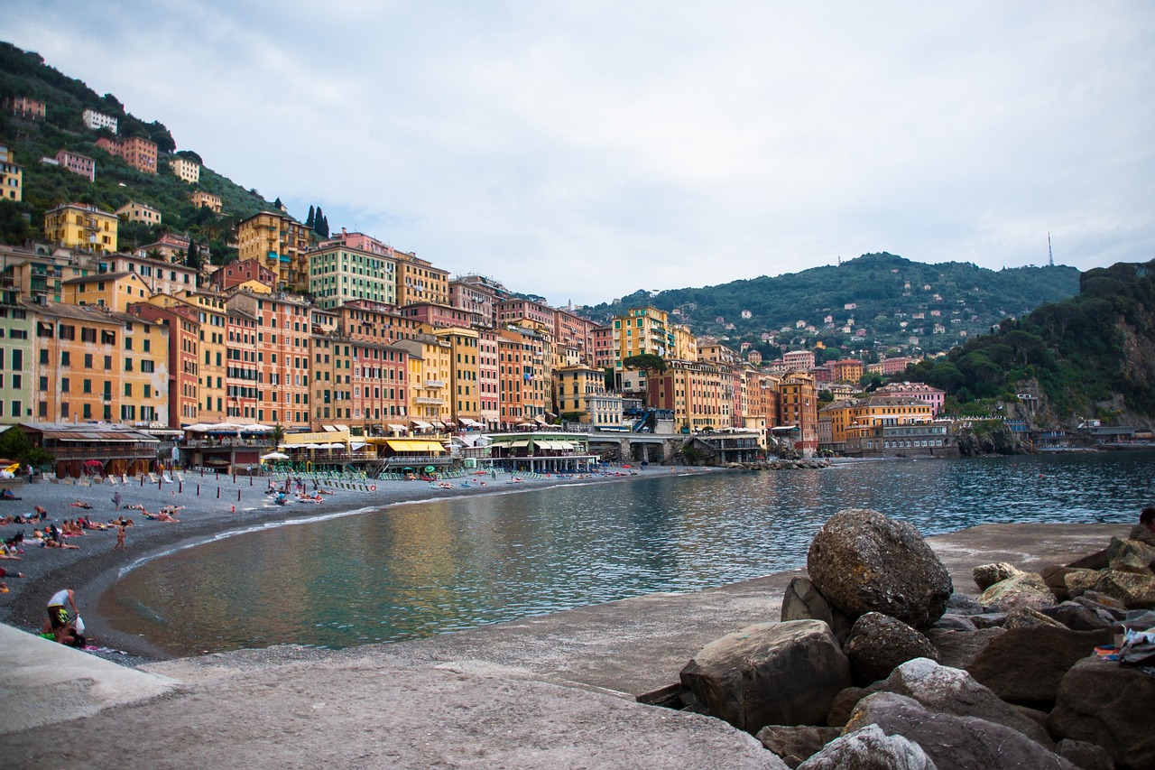 刘阳最新信息概览,揭秘最新动态与成就