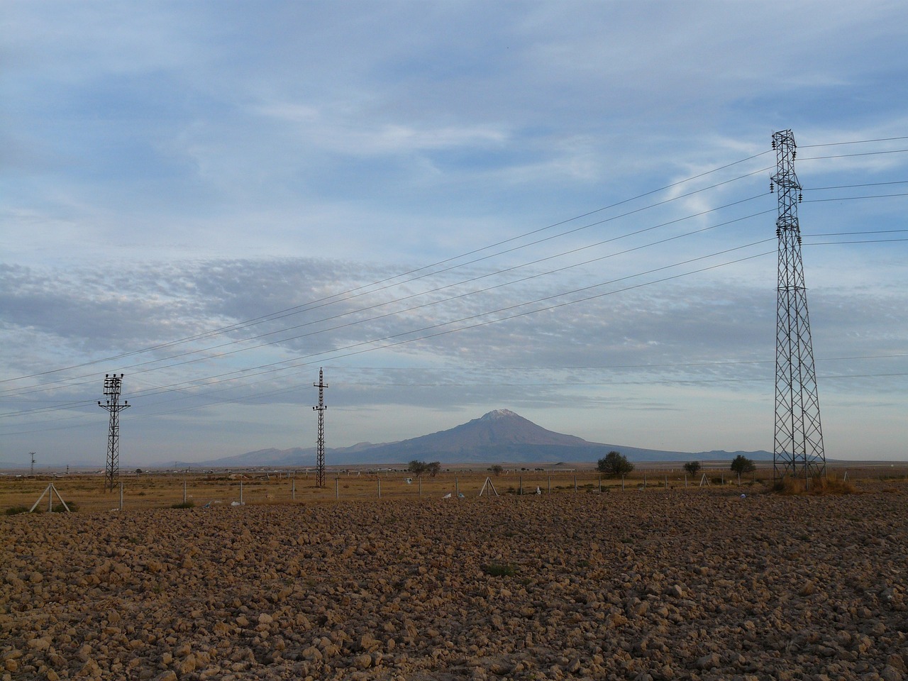 张宏邦的最新动态与成就概览