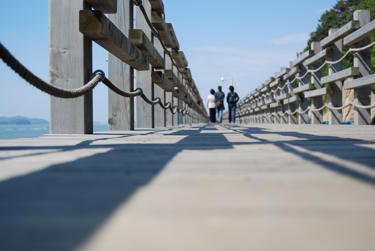 探索未知,引领未来,最新一木逪之旅