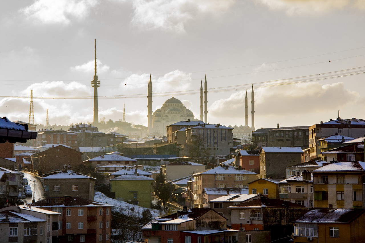 深圳最新区域图揭示发展迅猛与未来蓝图