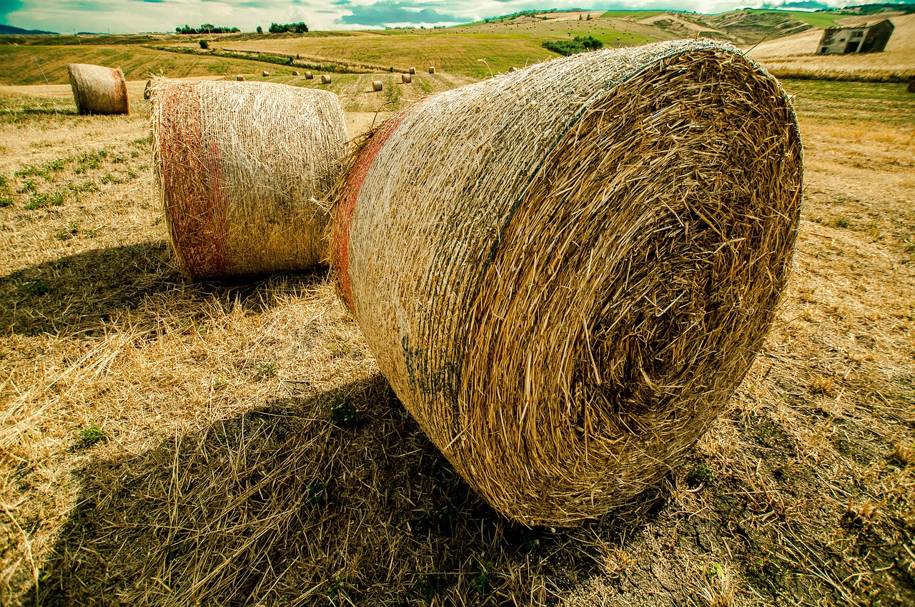 得利卡最新动态引领商用车市场变革,重塑行业格局