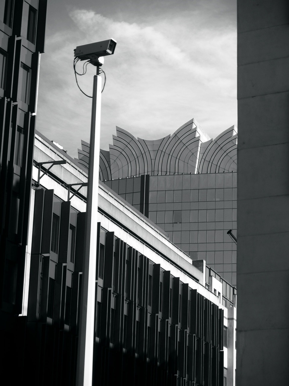 暴风使命 第21页