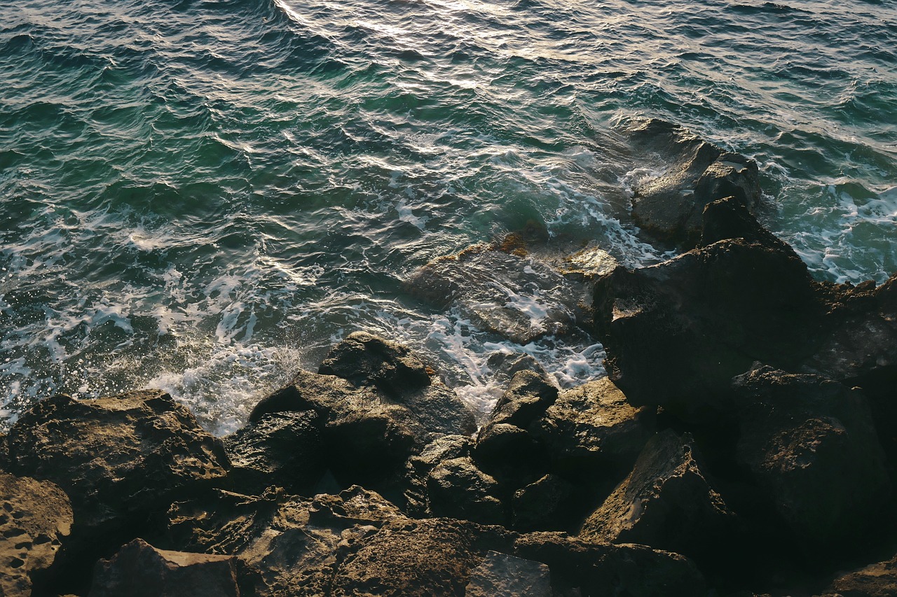 北京疫情最新数据,城市动态及应对策略