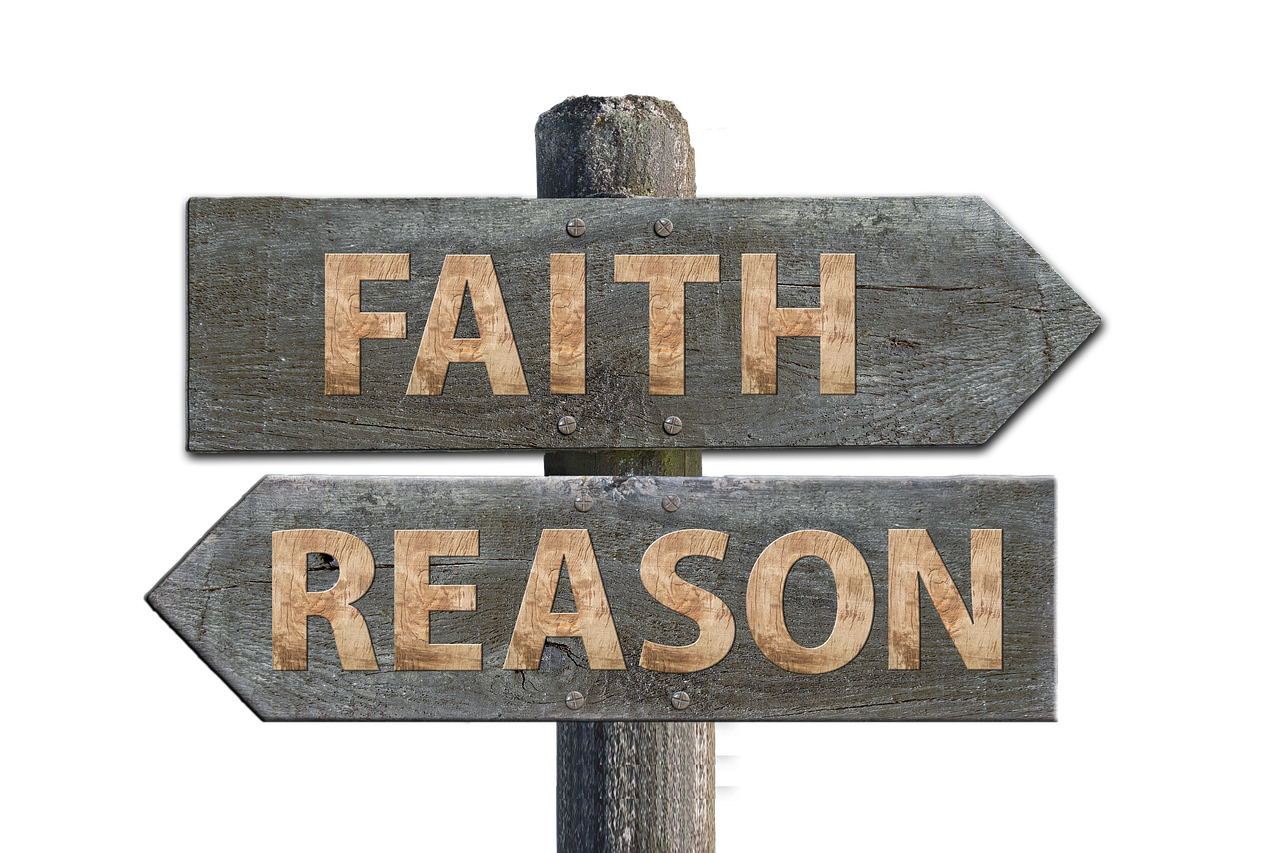 第一句问候 第21页