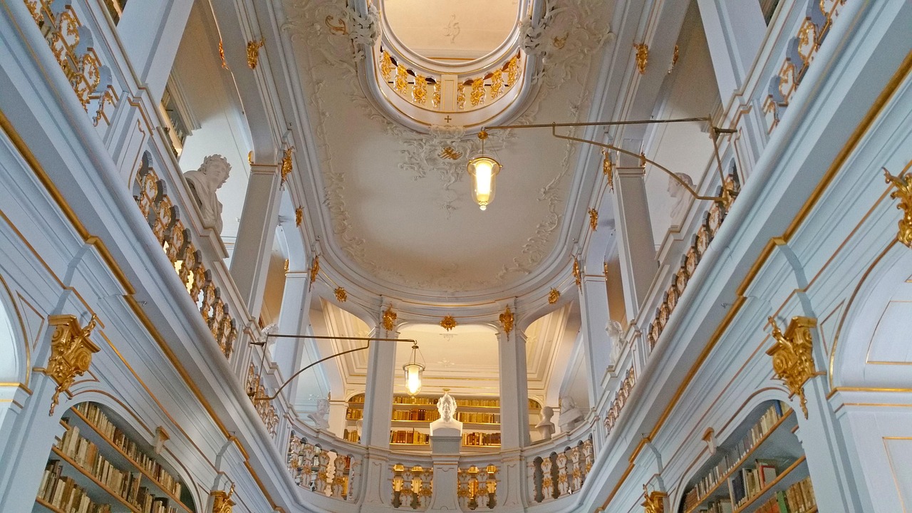 王蒙多最新动态,探索文学与艺术的新领域进展