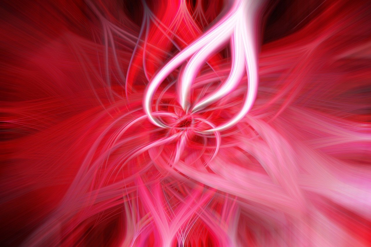 九毛九最新动态,创新拓展与未来发展展望