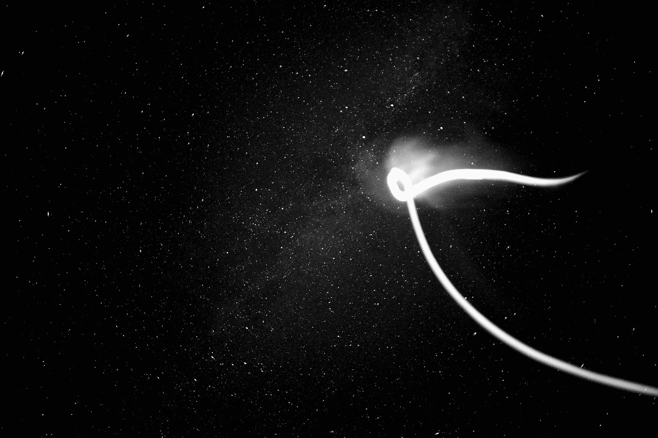 王冰冰最新动态,明星之光的持续闪耀