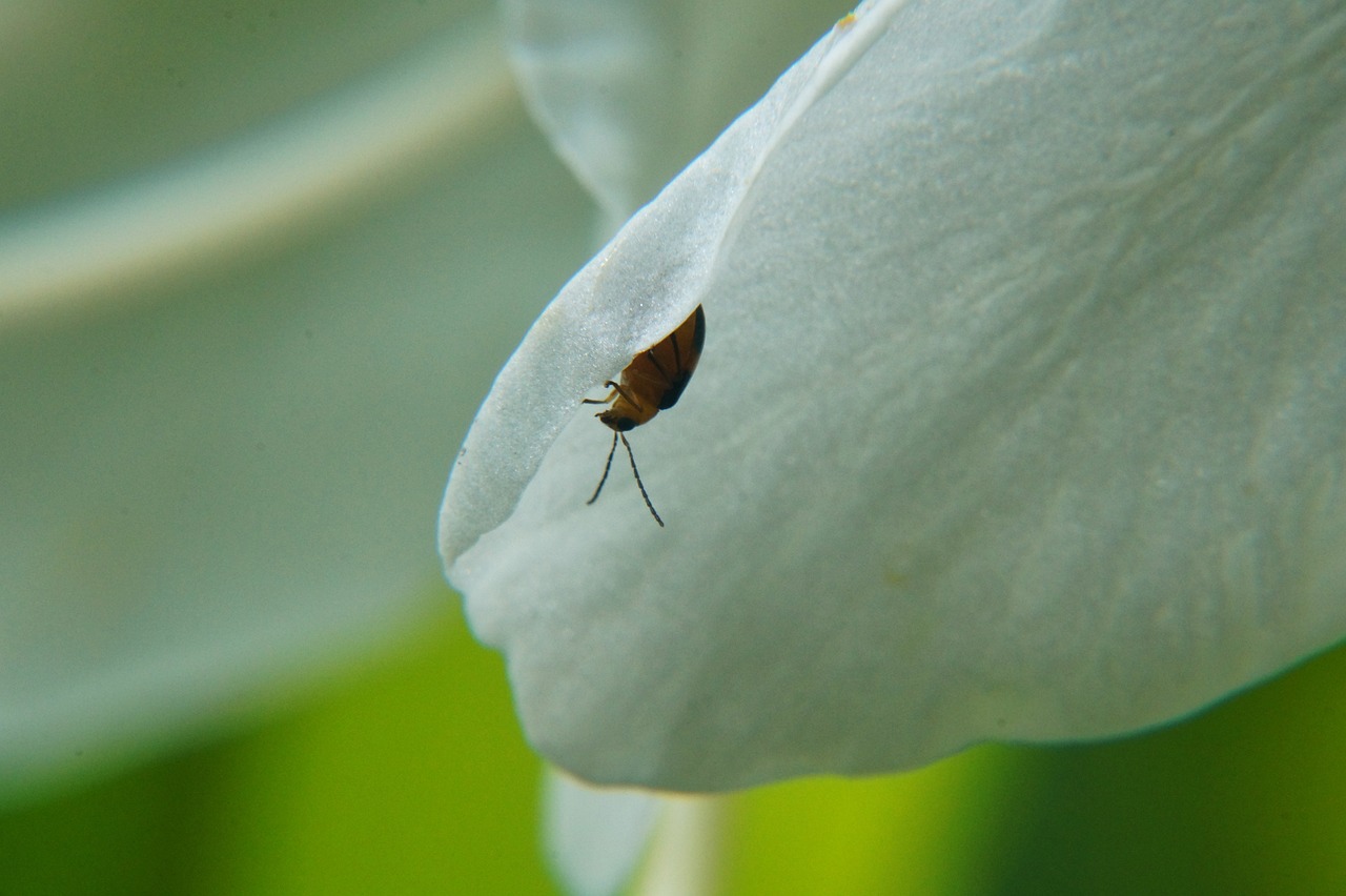 来宾市兴宾区最新疫情动态报告更新