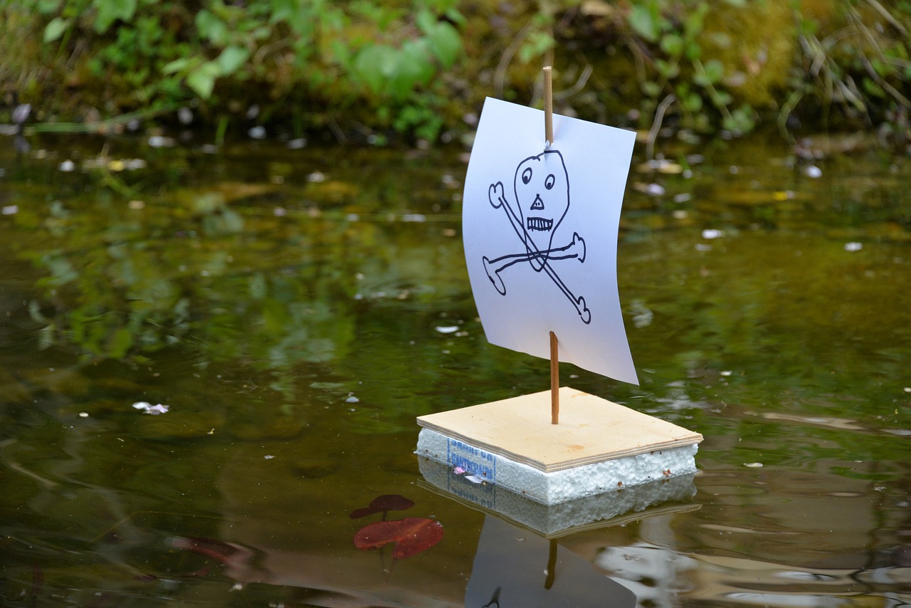 探索未知海域的强悍力量,最新海盗阵容揭秘