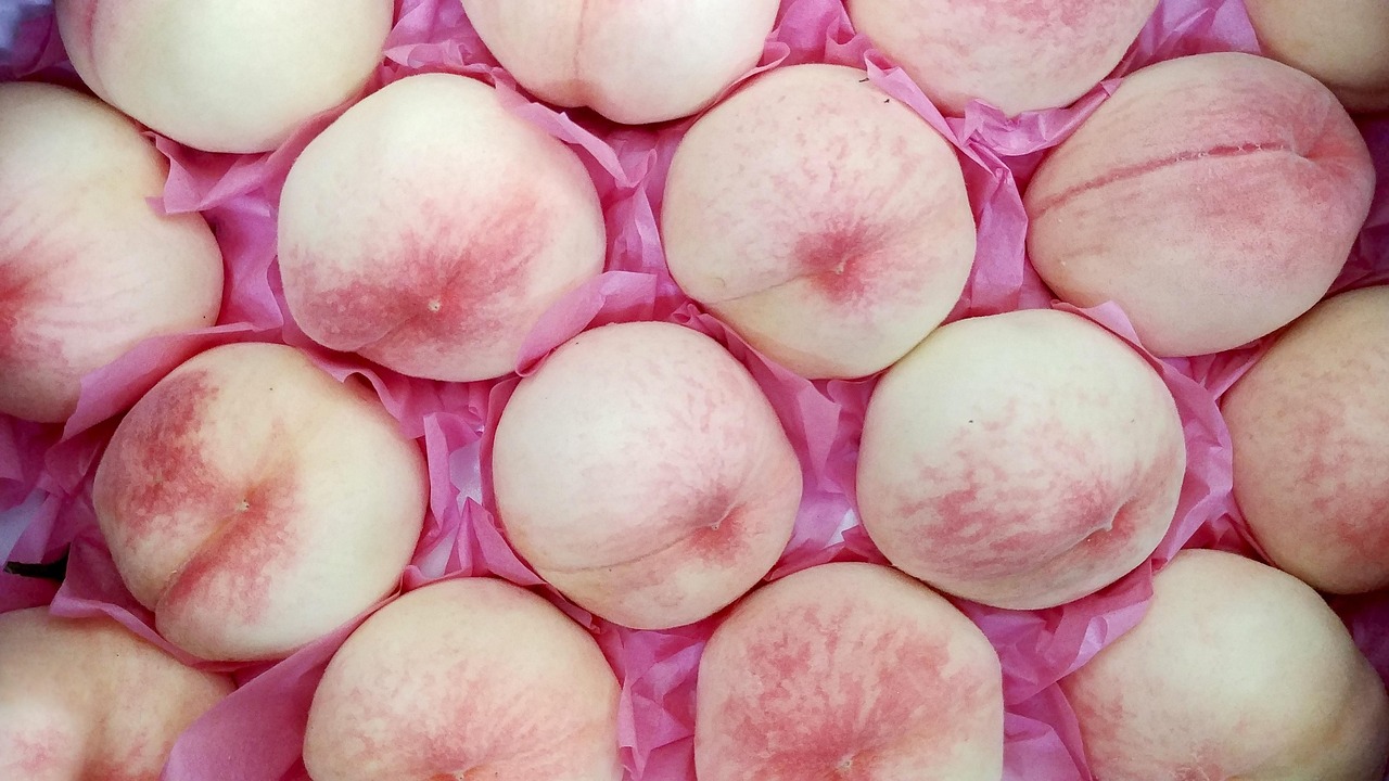 韩国影视巨星李准基，璀璨明星的最新动态