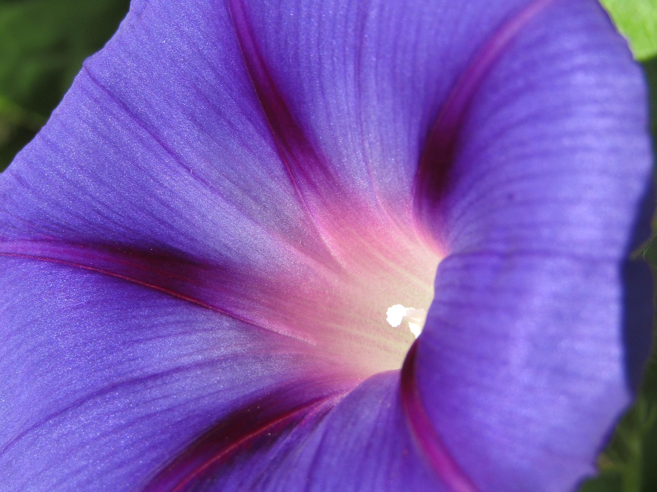 月老最新章节,缘分牵绊下的神秘展开