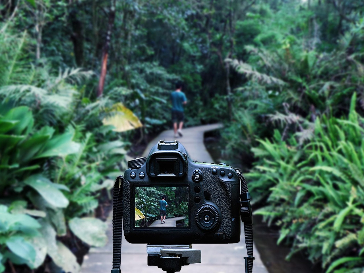 荆州方特最新动态,文化与科技融合之旅
