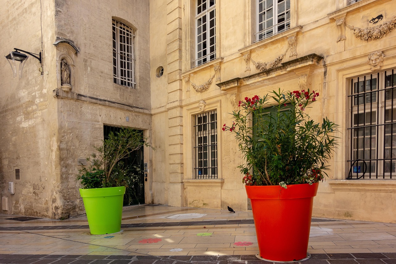 颜巷村新貌,传统与现代交融的乡村变迁之路