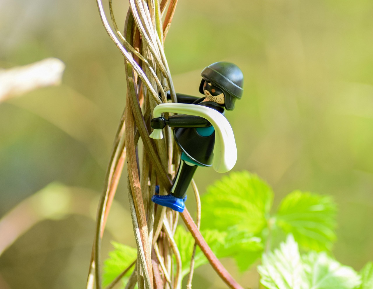 犯罪大师Crimaster最新动态与深度解析