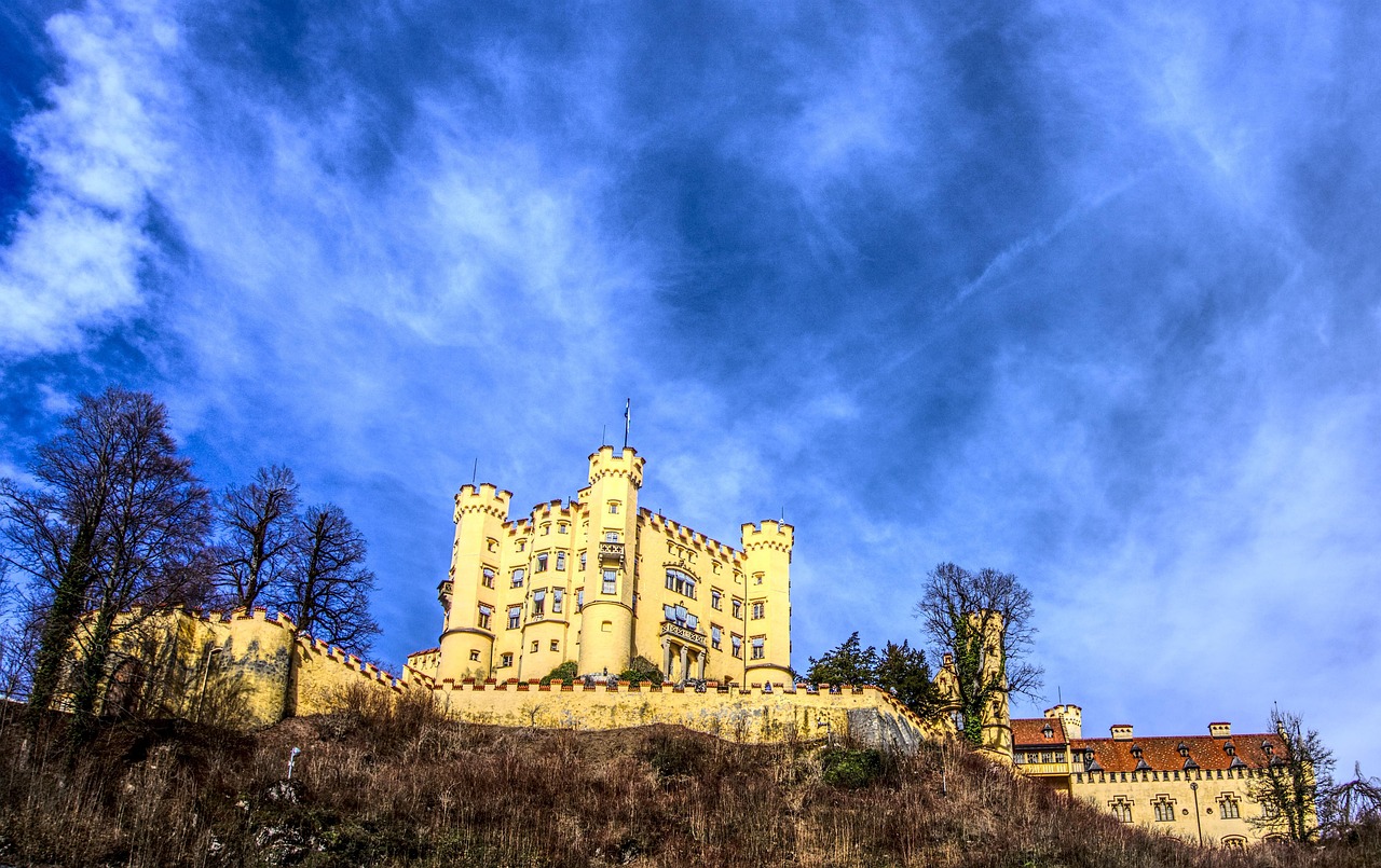 横沥最新疫情动态与影响概述