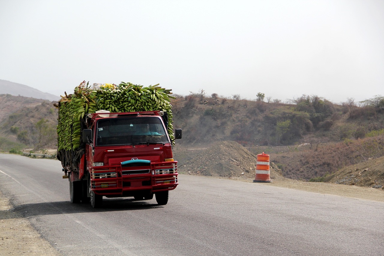 中国航线最新动态,持续拓展与更新进展