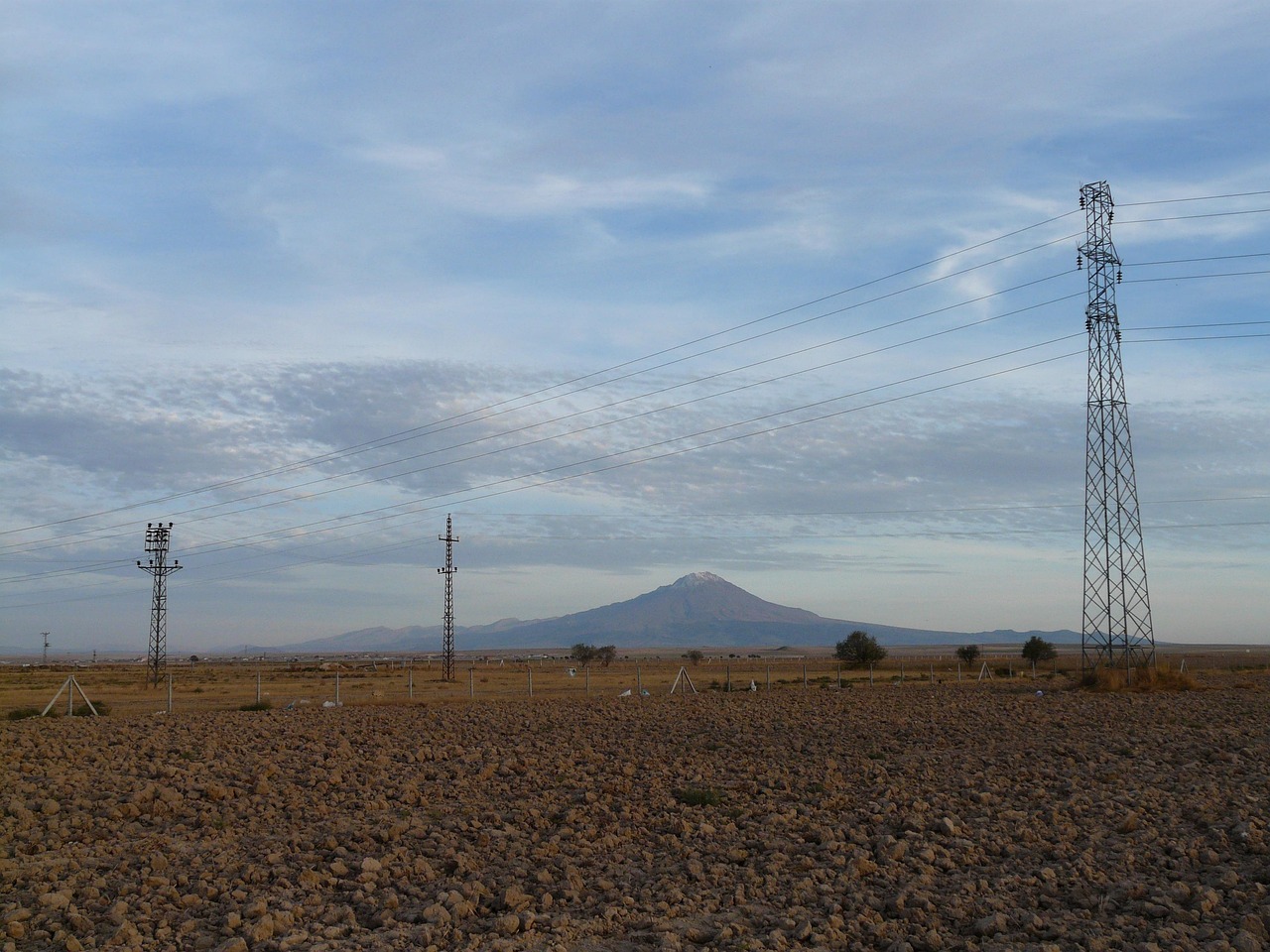 魏应充的最新动态与成就概览