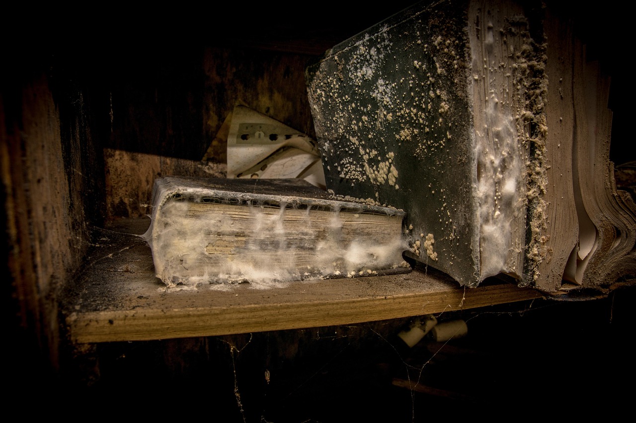 太初最新更新深度解析,探索未知世界的奥秘与神秘面纱