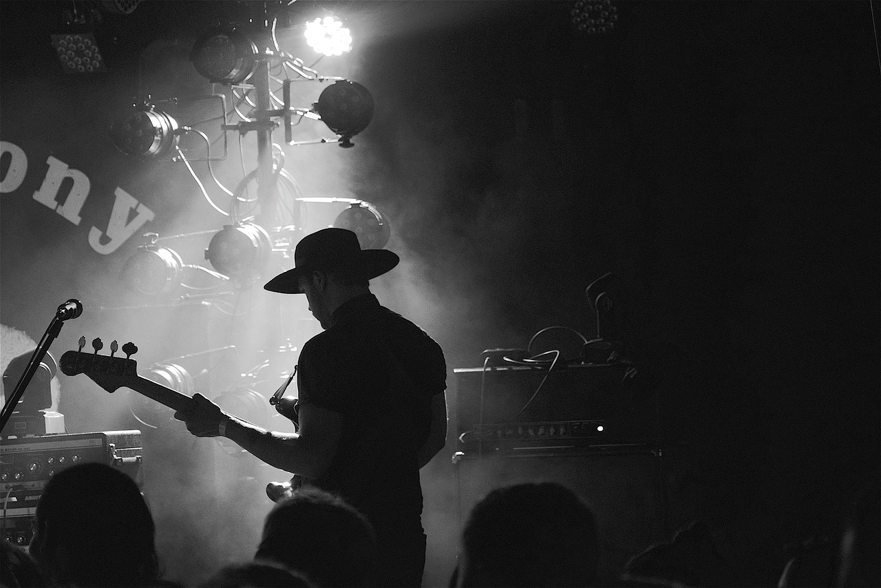 2019舞蹈盛宴,最新潮流视频探索与欣赏