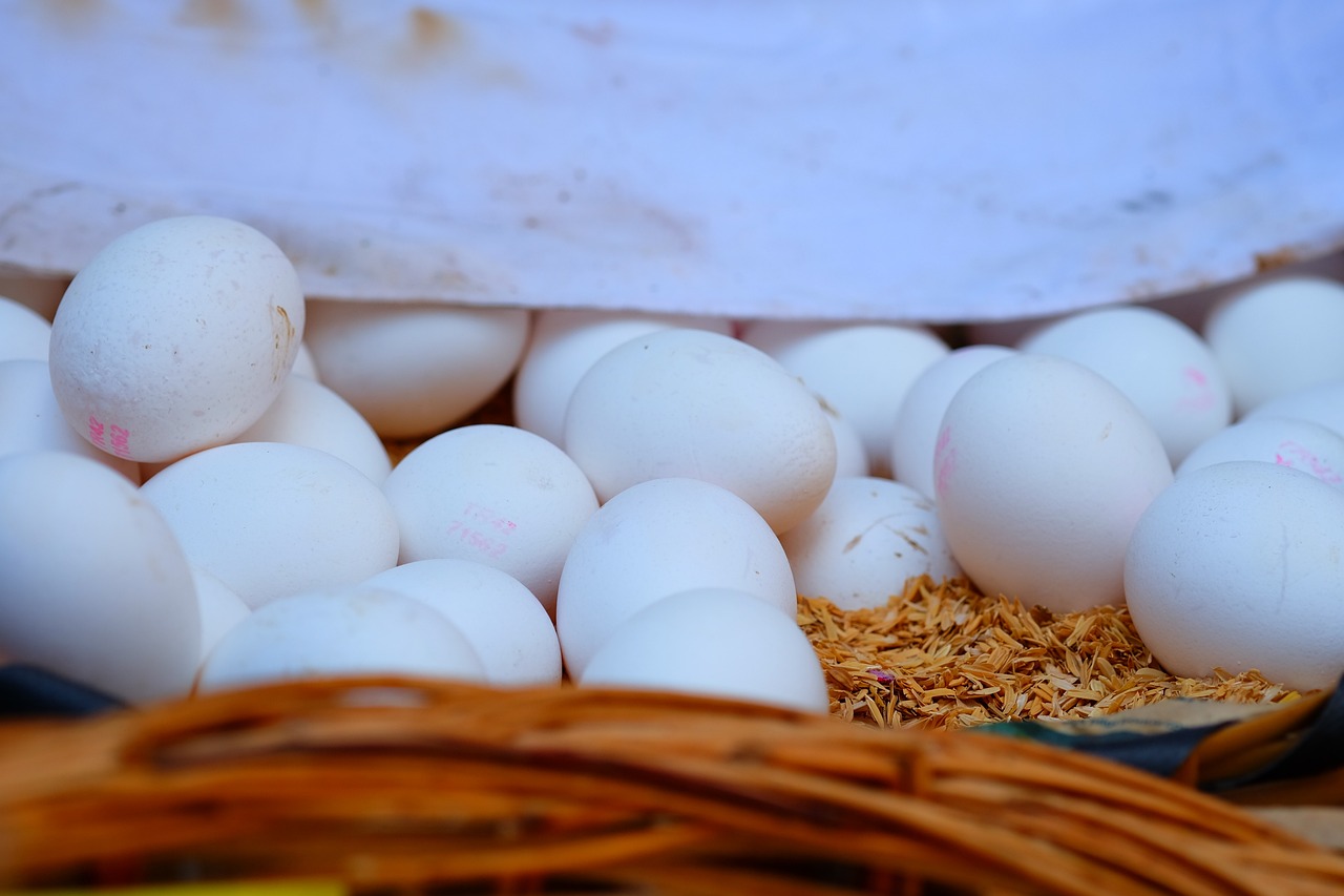 最新辣椒价格动态分析与趋势预测