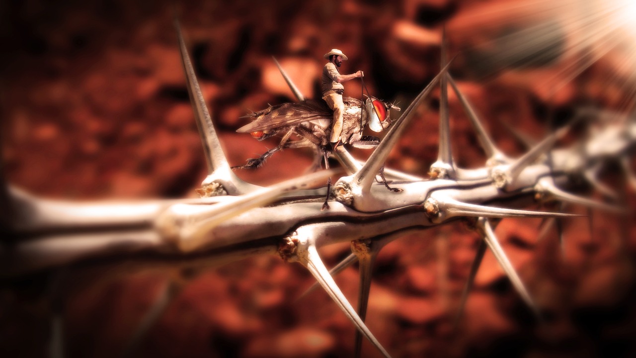 灵兆小说最新动态,未知世界的奇幻之旅探索