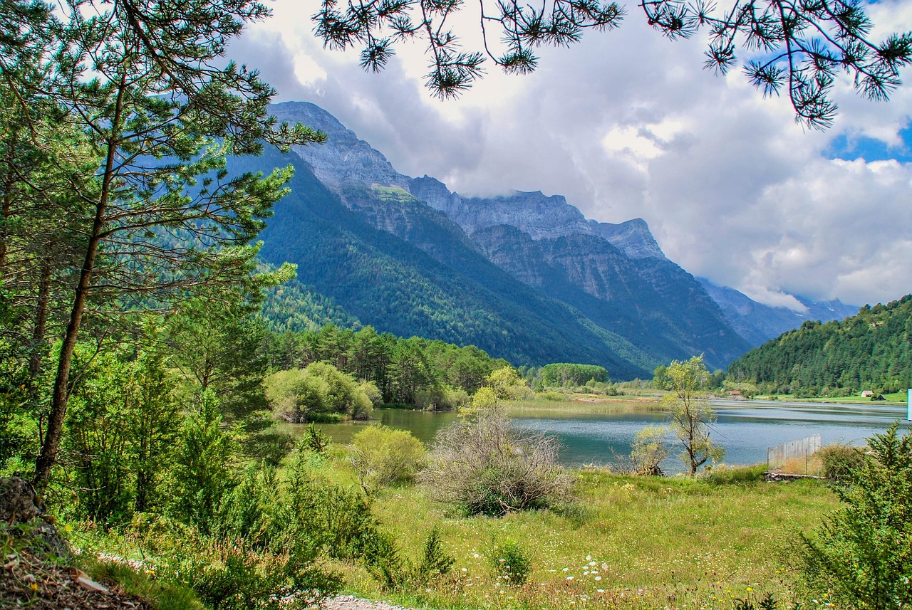 五月分币实时行情深度解析与动态预测