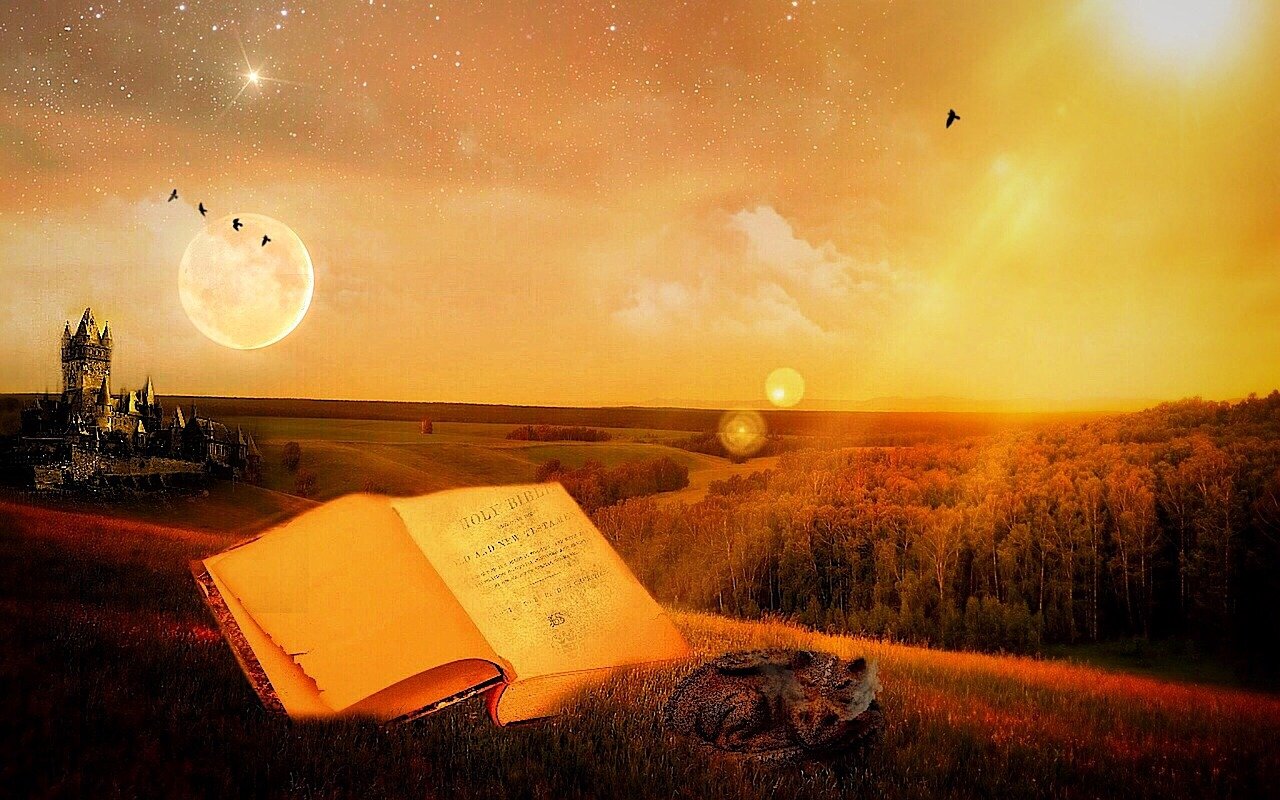 五月山东之星,璀璨明星的诞生地